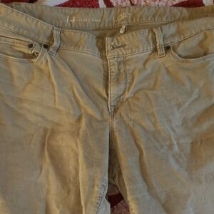 LOFT Beige Corduroy Trousers Curvy Boot